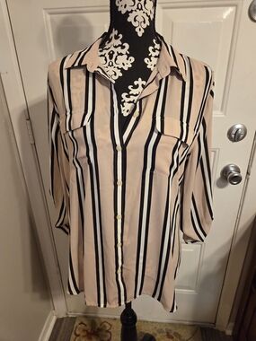 LOFT Blush Pink and Black Vertical Stripe Button-Down Shirt